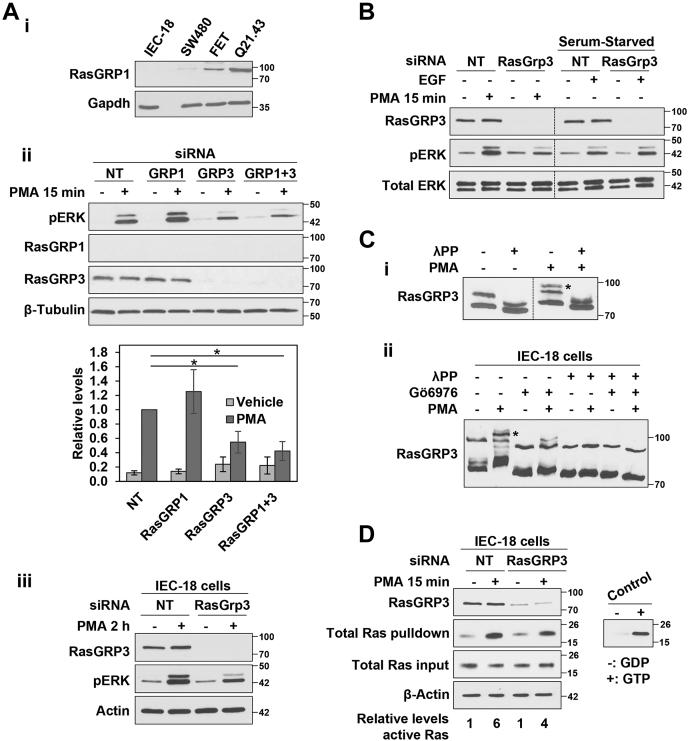 https://cdn.ncbi.nlm.nih.gov/pmc/blobs/3e99/9270260/358973c5503d/gr8.jpg