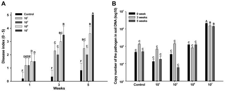 https://cdn.ncbi.nlm.nih.gov/pmc/blobs/3e9b/5985642/aa60514297af/ppj-34-163f2.jpg