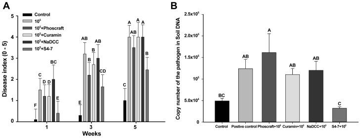 https://cdn.ncbi.nlm.nih.gov/pmc/blobs/3e9b/5985642/dc3925738830/ppj-34-163f3.jpg