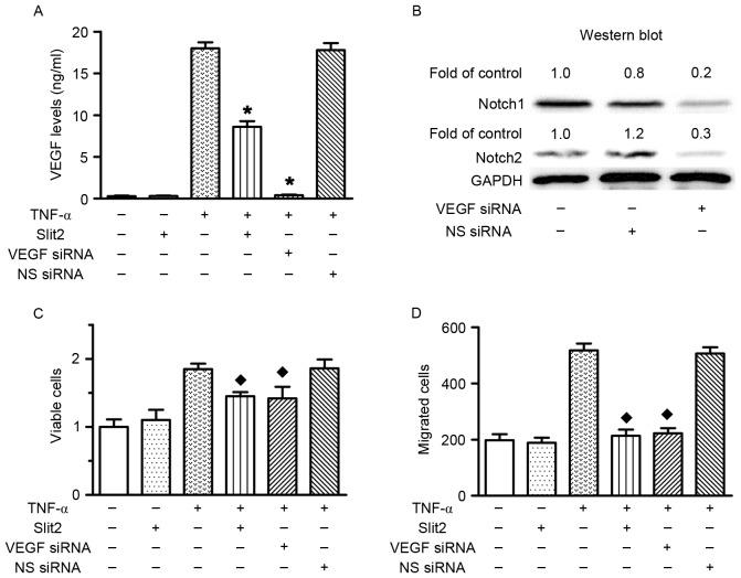 https://cdn.ncbi.nlm.nih.gov/pmc/blobs/3e9d/5364956/901a25a71729/MMR-15-04-1981-g05.jpg