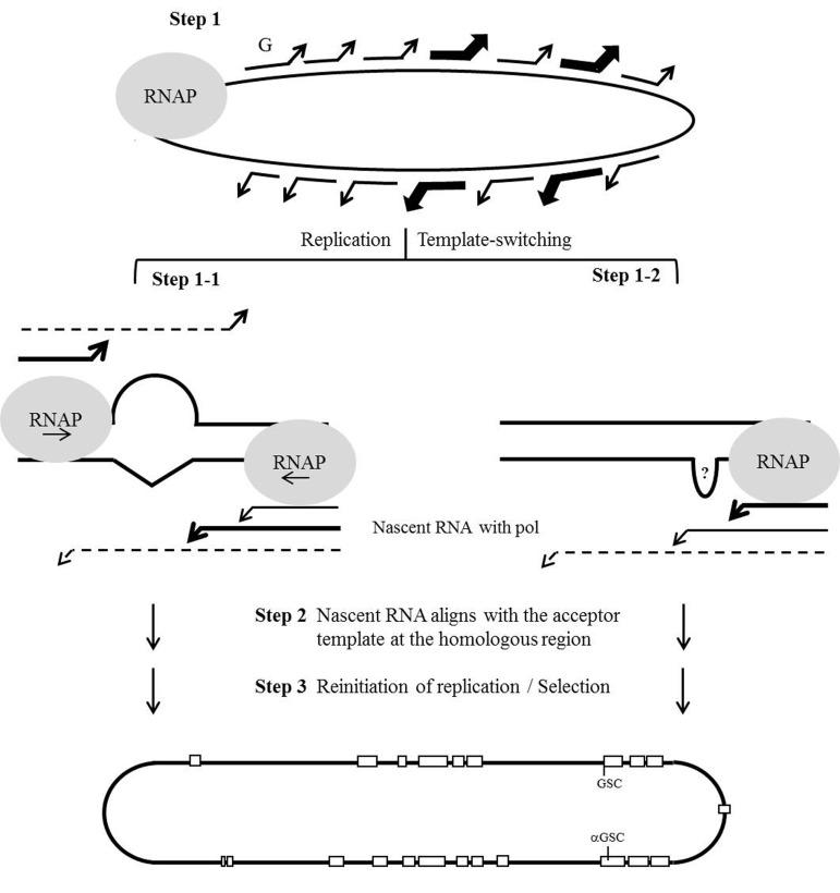 https://cdn.ncbi.nlm.nih.gov/pmc/blobs/3e9d/5617389/b22a6510f066/oncotarget-08-60841-g006.jpg