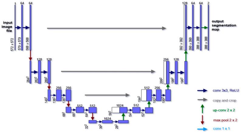 https://cdn.ncbi.nlm.nih.gov/pmc/blobs/3e9e/10527859/0f1906a7edd8/diagnostics-13-02924-g003.jpg
