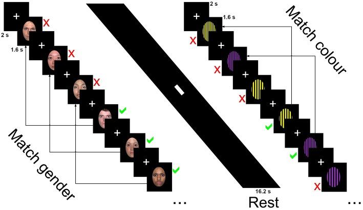 https://cdn.ncbi.nlm.nih.gov/pmc/blobs/3ea1/6411826/e9ba4909fe61/fpsyt-10-00060-g0001.jpg