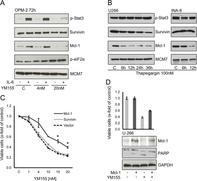https://cdn.ncbi.nlm.nih.gov/pmc/blobs/3ea3/4279369/a9ad01c4a7ed/oncotarget-05-10237-g007.jpg