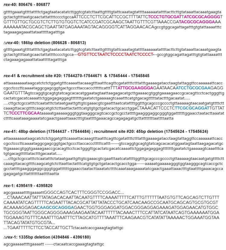 https://cdn.ncbi.nlm.nih.gov/pmc/blobs/3ea3/5451215/5c1e1634f3ce/elife-23645-fig7-figsupp2.jpg