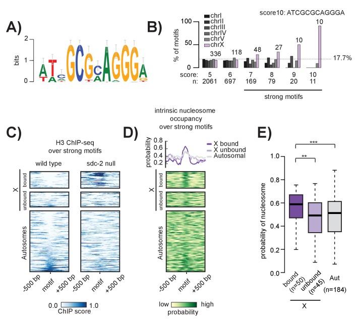 https://cdn.ncbi.nlm.nih.gov/pmc/blobs/3ea3/5451215/d469df98e623/elife-23645-fig4.jpg
