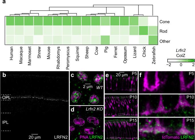 https://cdn.ncbi.nlm.nih.gov/pmc/blobs/3ea4/12008213/89979422dd03/41467_2025_59046_Fig1_HTML.jpg