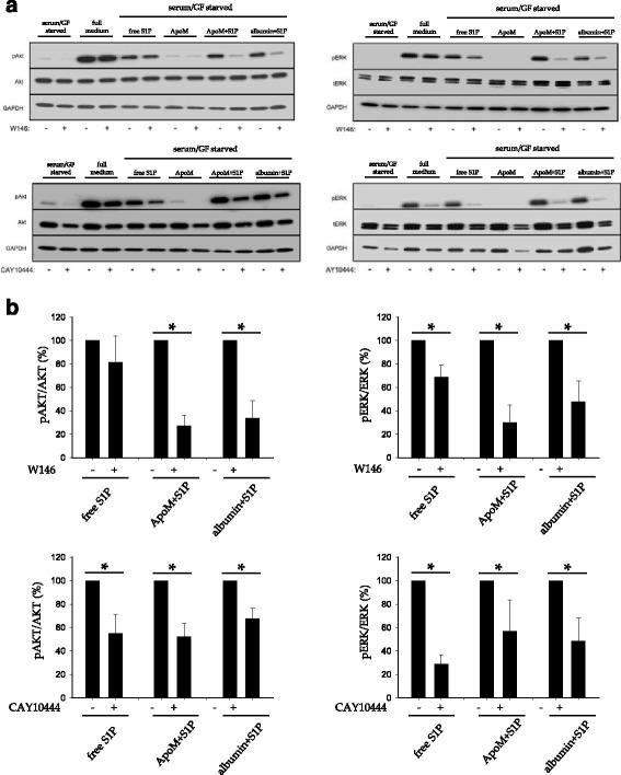 https://cdn.ncbi.nlm.nih.gov/pmc/blobs/3ea4/5299634/0403cca8c6e4/12944_2017_429_Fig7_HTML.jpg