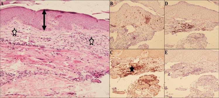https://cdn.ncbi.nlm.nih.gov/pmc/blobs/3ea4/7872302/3a153a3f57f6/pntd.0009089.g004.jpg