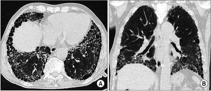 https://cdn.ncbi.nlm.nih.gov/pmc/blobs/3ea6/10730800/63d996010c3f/jrd-31-1-3-f2.jpg