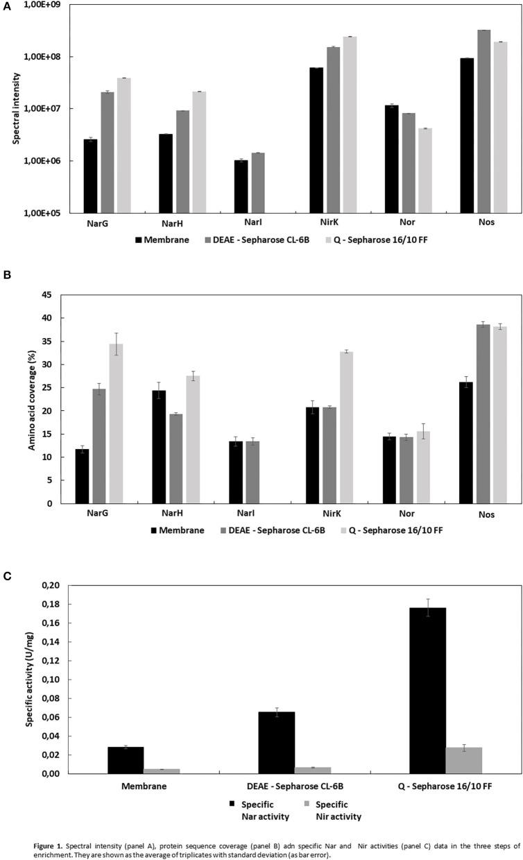 https://cdn.ncbi.nlm.nih.gov/pmc/blobs/3ea9/7754194/bc088a4756c5/fmicb-11-605859-g0001.jpg