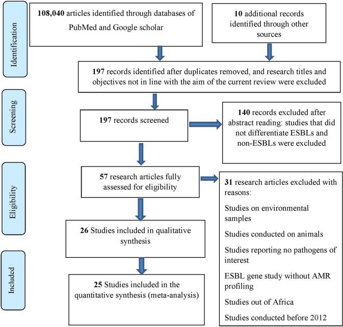 https://cdn.ncbi.nlm.nih.gov/pmc/blobs/3eab/11706086/57e2d148d52c/40001_2024_2267_Fig1_HTML.jpg