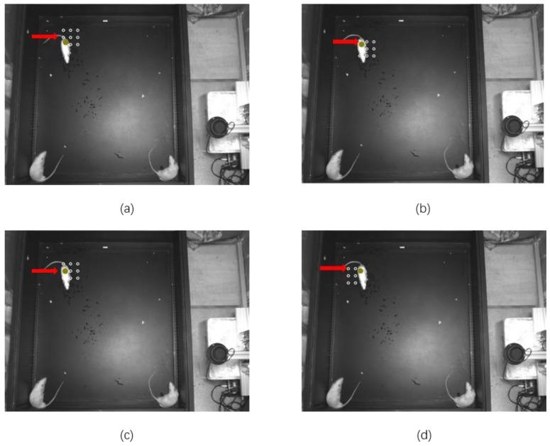 https://cdn.ncbi.nlm.nih.gov/pmc/blobs/3eaf/6982905/96650ed85404/sensors-20-00002-g004.jpg