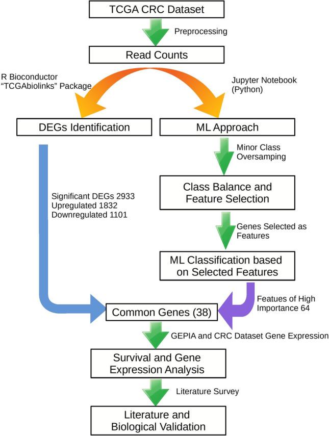 https://cdn.ncbi.nlm.nih.gov/pmc/blobs/3eb1/8275802/e67e85c4f657/41598_2021_92692_Fig1_HTML.jpg