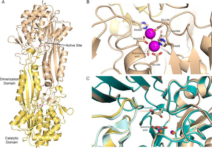 https://cdn.ncbi.nlm.nih.gov/pmc/blobs/3eb2/10809365/5bbddfbfbac2/ao3c08231_0001.jpg