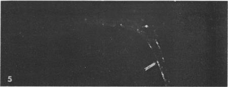 https://cdn.ncbi.nlm.nih.gov/pmc/blobs/3eb2/224404/7a6fb29f17ec/pnas00147-0221-e.jpg