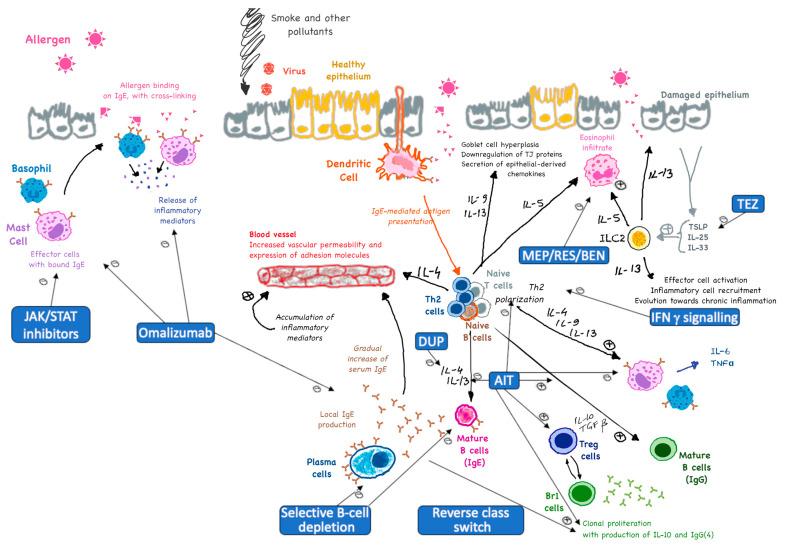 https://cdn.ncbi.nlm.nih.gov/pmc/blobs/3eba/12027104/8ecaf26fac76/ijms-26-03535-g001.jpg