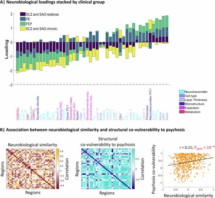 https://cdn.ncbi.nlm.nih.gov/pmc/blobs/3ebc/11919758/22cdda0e7663/41380_2024_2724_Fig5_HTML.jpg
