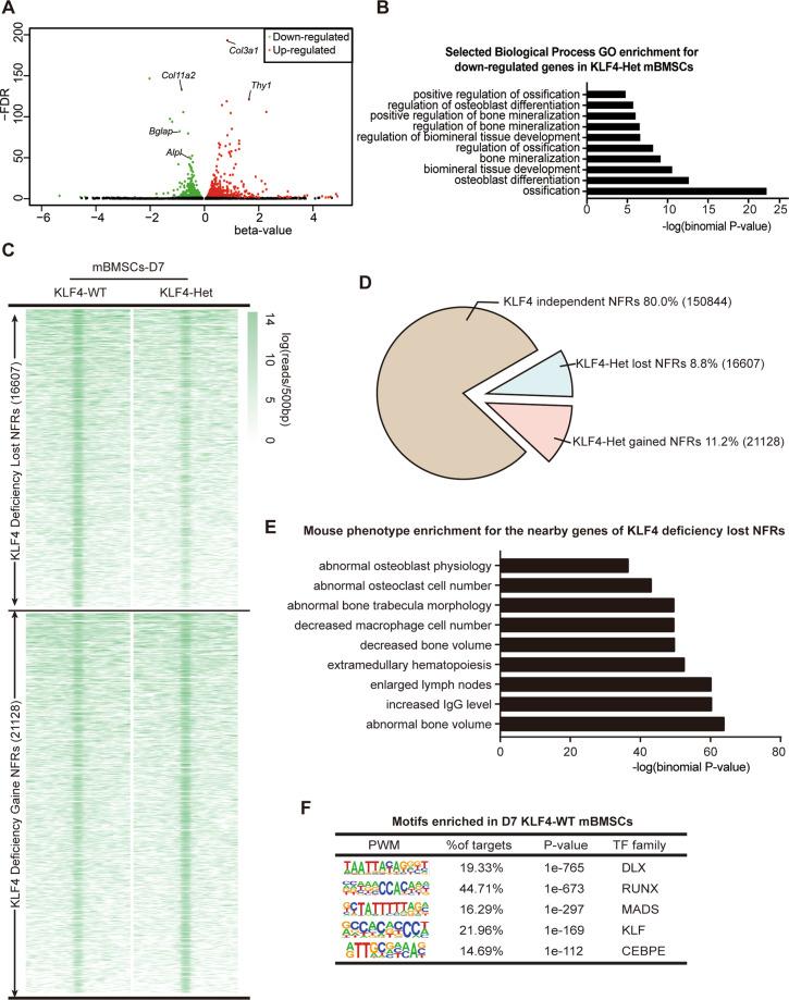 https://cdn.ncbi.nlm.nih.gov/pmc/blobs/3ebd/7895980/4d22ac3dca21/41419_2021_3480_Fig6_HTML.jpg