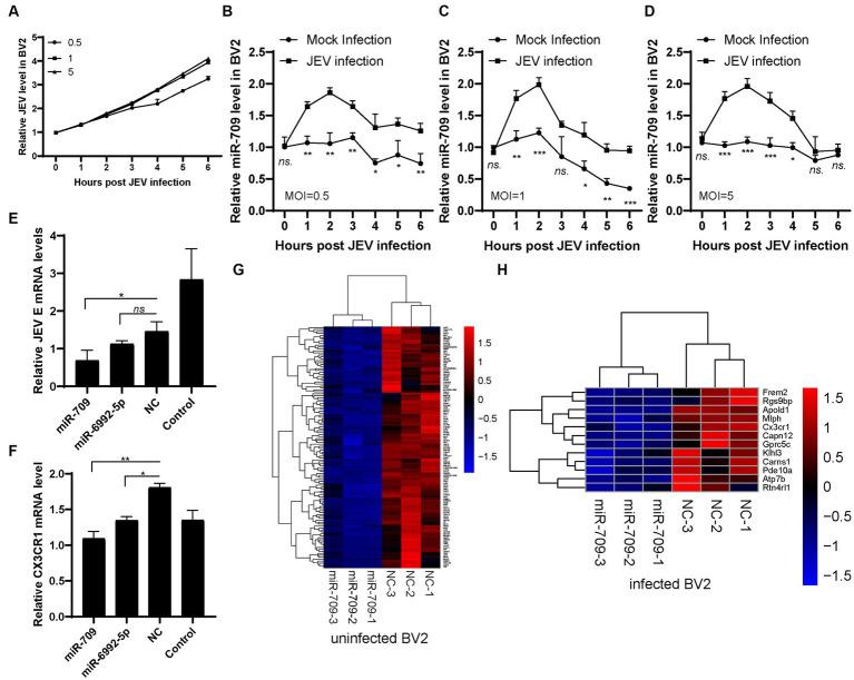 https://cdn.ncbi.nlm.nih.gov/pmc/blobs/3ebe/10797004/6b9c6783b1b7/fmicb-14-1165378-g004.jpg