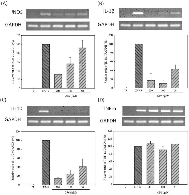 https://cdn.ncbi.nlm.nih.gov/pmc/blobs/3ebe/6264439/6789375d4679/molecules-16-09451-g004.jpg
