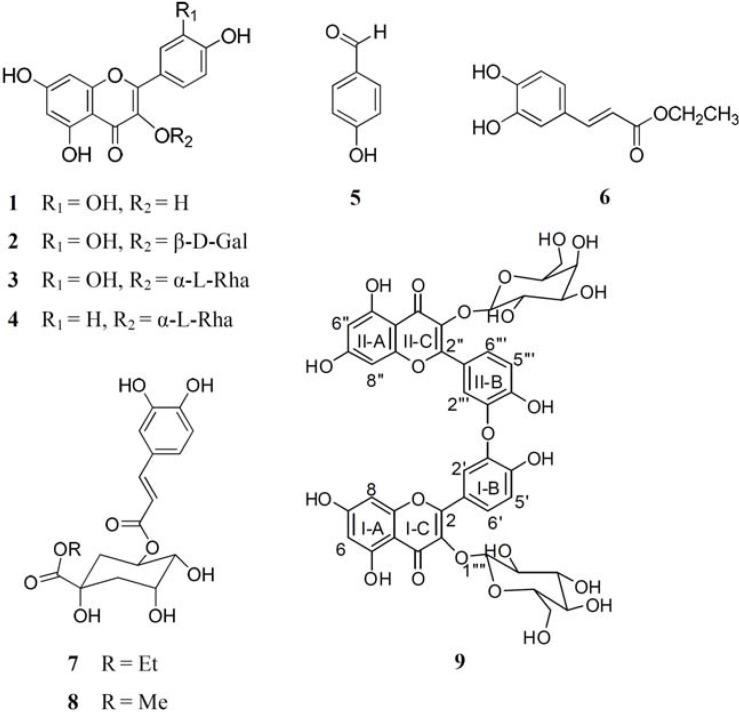 https://cdn.ncbi.nlm.nih.gov/pmc/blobs/3ebe/6264439/c13e2fc64c68/molecules-16-09451-g001.jpg