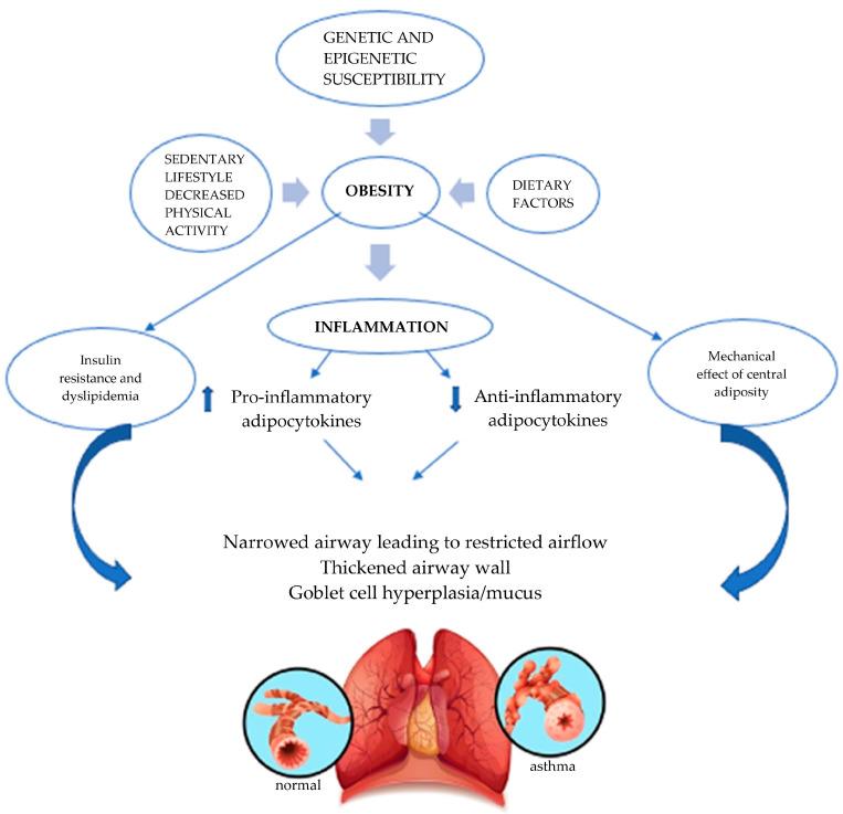 https://cdn.ncbi.nlm.nih.gov/pmc/blobs/3ec0/12109551/92cb34876b16/biomedicines-13-01114-g001.jpg