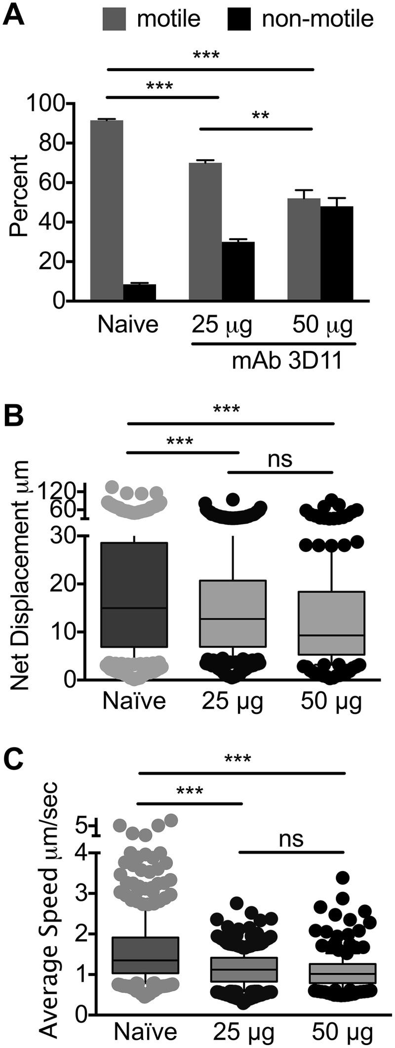 https://cdn.ncbi.nlm.nih.gov/pmc/blobs/3ec2/6247089/018258d97ee7/mbo0061841700004.jpg