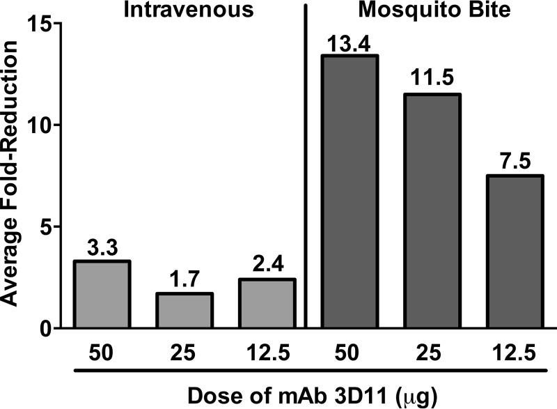 https://cdn.ncbi.nlm.nih.gov/pmc/blobs/3ec2/6247089/346c0f3b2303/mbo0061841700007.jpg