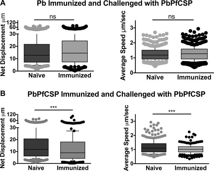 https://cdn.ncbi.nlm.nih.gov/pmc/blobs/3ec2/6247089/70c984d62807/mbo0061841700002.jpg