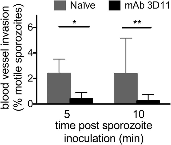 https://cdn.ncbi.nlm.nih.gov/pmc/blobs/3ec2/6247089/c321a651298f/mbo0061841700005.jpg
