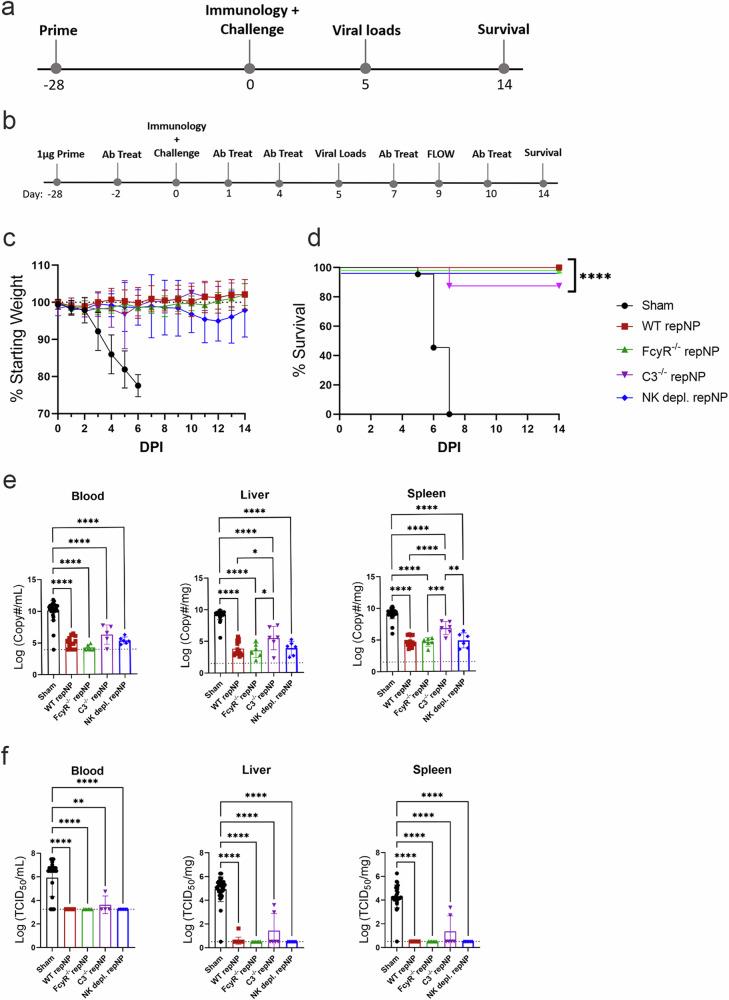 https://cdn.ncbi.nlm.nih.gov/pmc/blobs/3ec3/11511847/1c58a9c56e0d/41467_2024_53362_Fig2_HTML.jpg