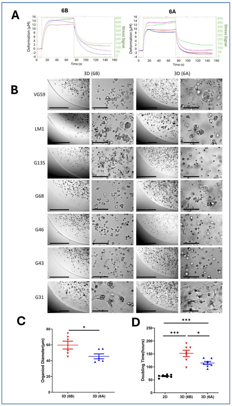 https://cdn.ncbi.nlm.nih.gov/pmc/blobs/3ec4/11899364/3dc4f6db6020/cancers-17-00870-g001.jpg