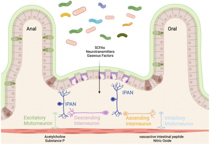 https://cdn.ncbi.nlm.nih.gov/pmc/blobs/3ec4/8962360/f676c4b042d3/biomedicines-10-00500-g001.jpg