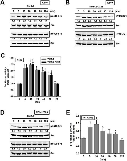 https://cdn.ncbi.nlm.nih.gov/pmc/blobs/3ec5/4767480/8b8b4790abe6/oncotarget-06-42905-g003.jpg