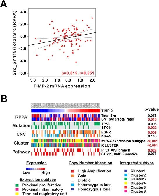 https://cdn.ncbi.nlm.nih.gov/pmc/blobs/3ec5/4767480/bef9d97b9d67/oncotarget-06-42905-g008.jpg