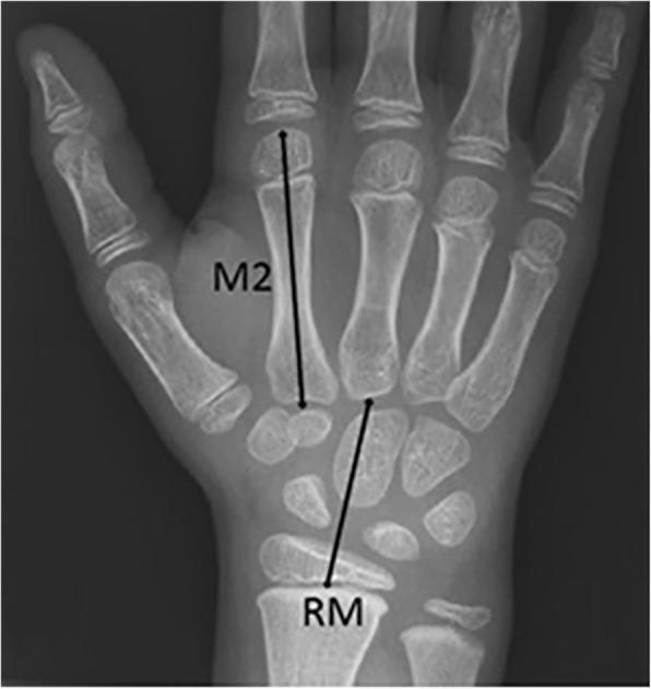 https://cdn.ncbi.nlm.nih.gov/pmc/blobs/3ec6/6727344/4f4f8a04a968/12969_2019_362_Fig2_HTML.jpg