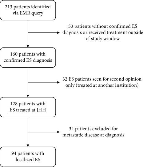 https://cdn.ncbi.nlm.nih.gov/pmc/blobs/3ec9/8068528/31a695da6843/sarcoma2021-6681741.001.jpg