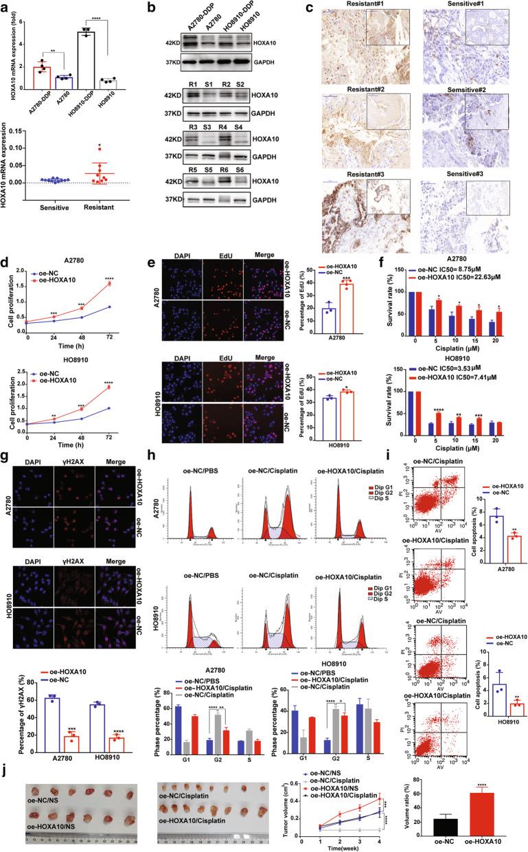 https://cdn.ncbi.nlm.nih.gov/pmc/blobs/3ece/8425158/5f8ded18657c/13046_2021_2088_Fig3_HTML.jpg