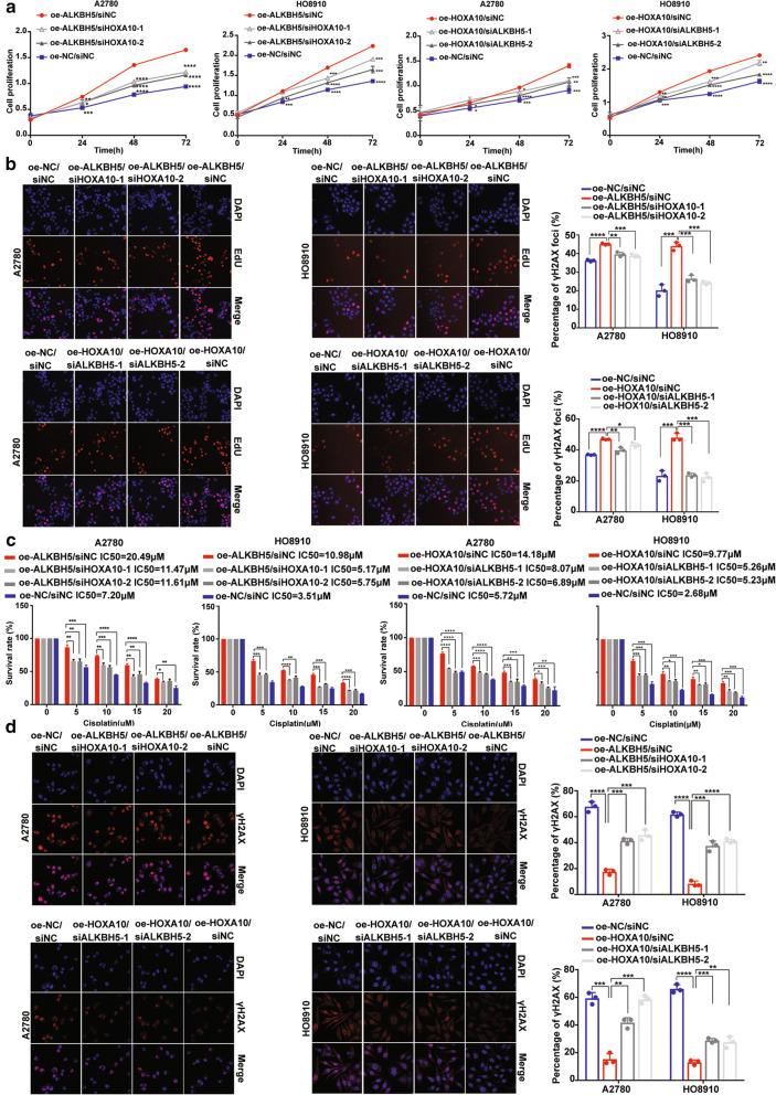 https://cdn.ncbi.nlm.nih.gov/pmc/blobs/3ece/8425158/8c1cb93b65e0/13046_2021_2088_Fig5_HTML.jpg