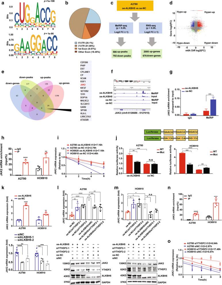 https://cdn.ncbi.nlm.nih.gov/pmc/blobs/3ece/8425158/8ccfe20a90d2/13046_2021_2088_Fig4_HTML.jpg
