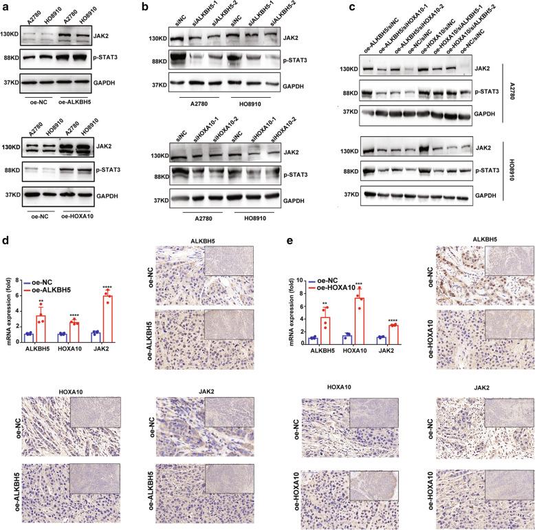 https://cdn.ncbi.nlm.nih.gov/pmc/blobs/3ece/8425158/98690f00cebb/13046_2021_2088_Fig6_HTML.jpg