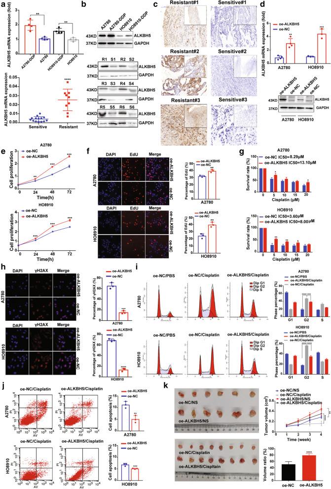 https://cdn.ncbi.nlm.nih.gov/pmc/blobs/3ece/8425158/d4c62750144e/13046_2021_2088_Fig1_HTML.jpg