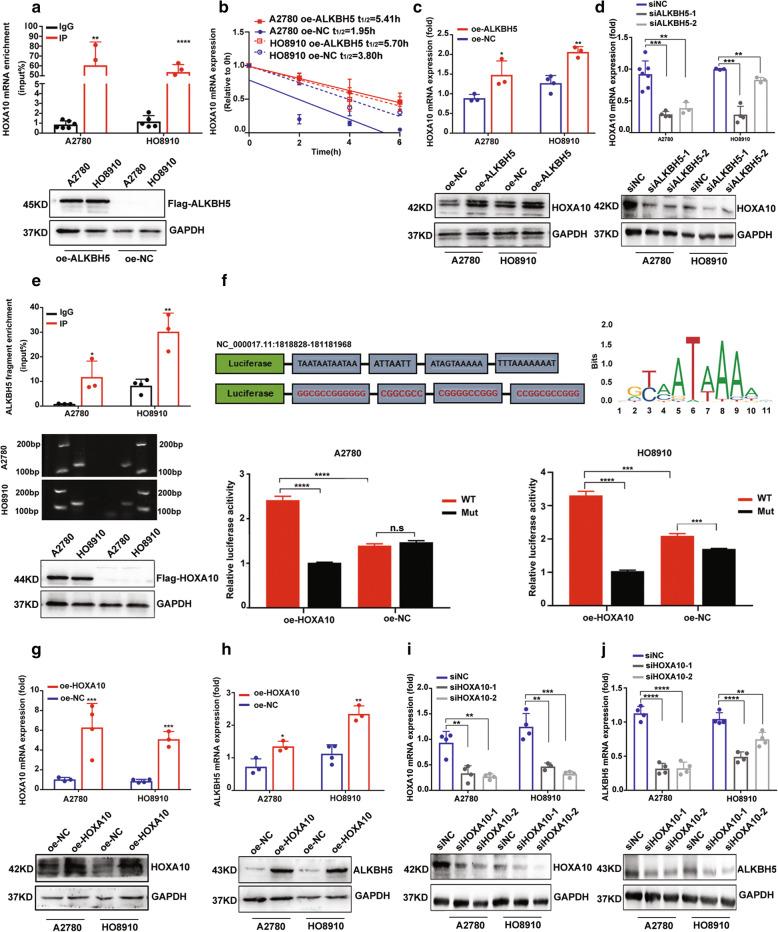 https://cdn.ncbi.nlm.nih.gov/pmc/blobs/3ece/8425158/f535e2ce79fe/13046_2021_2088_Fig2_HTML.jpg