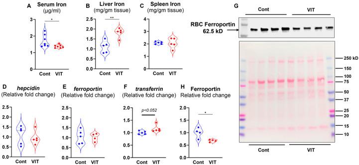 https://cdn.ncbi.nlm.nih.gov/pmc/blobs/3ecf/12388592/e98b6e46bd14/microorganisms-13-01859-g002.jpg