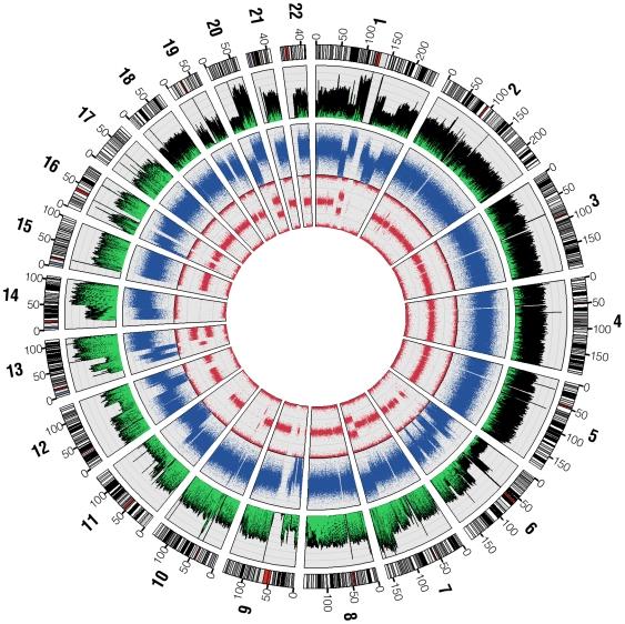 https://cdn.ncbi.nlm.nih.gov/pmc/blobs/3ecf/2813426/901c5fef9ca3/pgen.1000832.g001.jpg