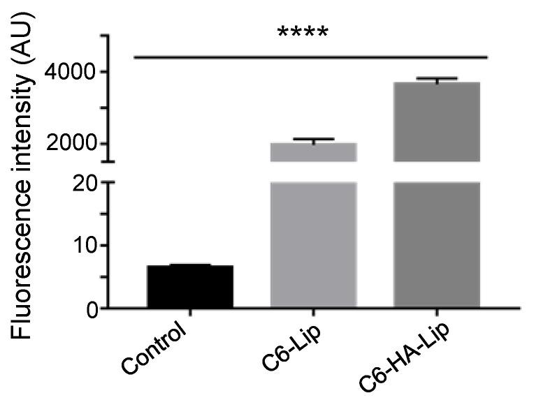 https://cdn.ncbi.nlm.nih.gov/pmc/blobs/3ecf/8398362/09cc0cb4789c/pharmaceutics-13-01235-g007.jpg