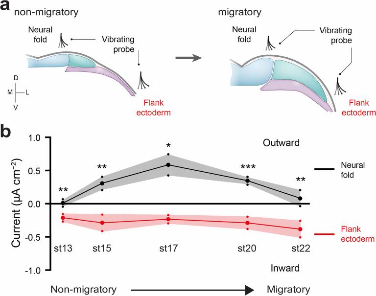 https://cdn.ncbi.nlm.nih.gov/pmc/blobs/3ed0/11879868/59522f6f3525/41563_2024_2060_Fig6_ESM.jpg