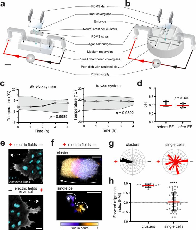 https://cdn.ncbi.nlm.nih.gov/pmc/blobs/3ed0/11879868/715b88de7c37/41563_2024_2060_Fig7_ESM.jpg