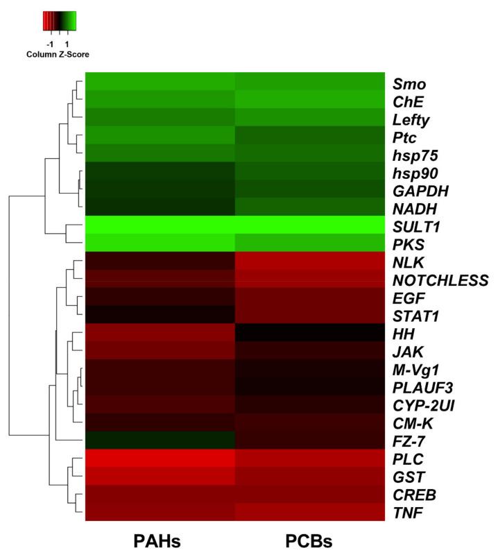 https://cdn.ncbi.nlm.nih.gov/pmc/blobs/3ed1/8619768/dca86fbedbce/ijms-22-12498-g004.jpg
